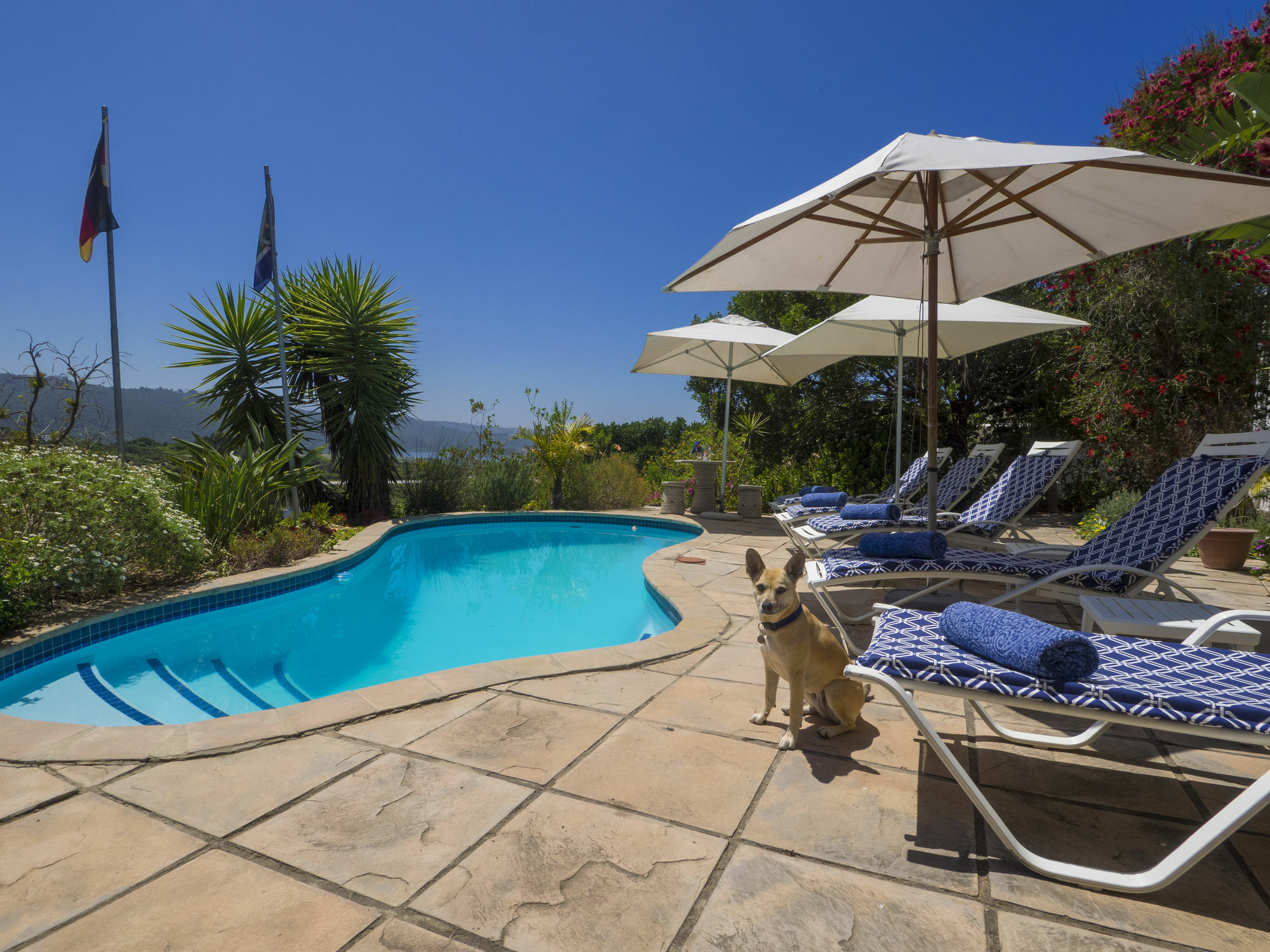Shining Waters Guest House Уилдърнес Екстериор снимка